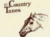 Best Country Tunes (2023)
