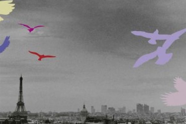 A Elegância do Ouriço - Muriel Barbery