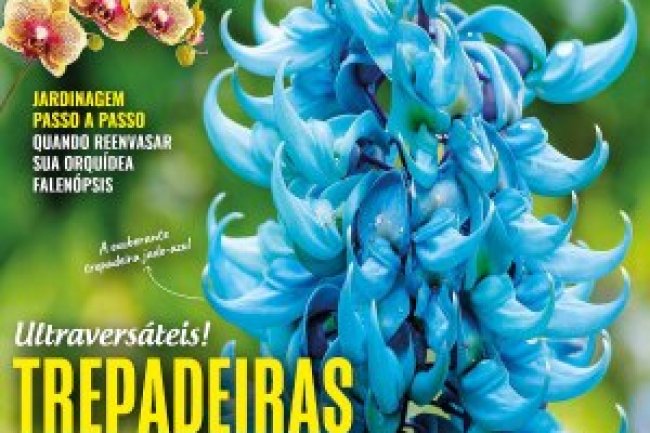Natureza Ed 420