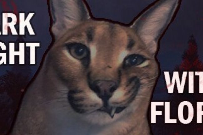 DARK NIGHT WITH FLOPPA