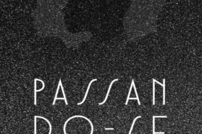 Passando-se - Nella Larsen