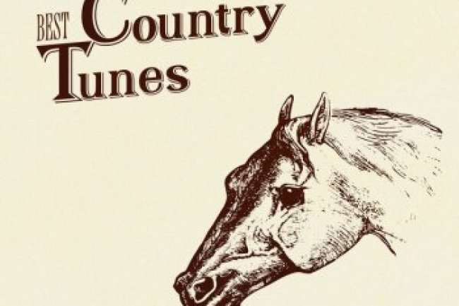 Best Country Tunes (2023)