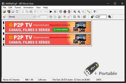 GIF Movie Gear v4.3.0 + Portable