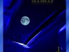 Decisive Koala - Moon Roof (2020)