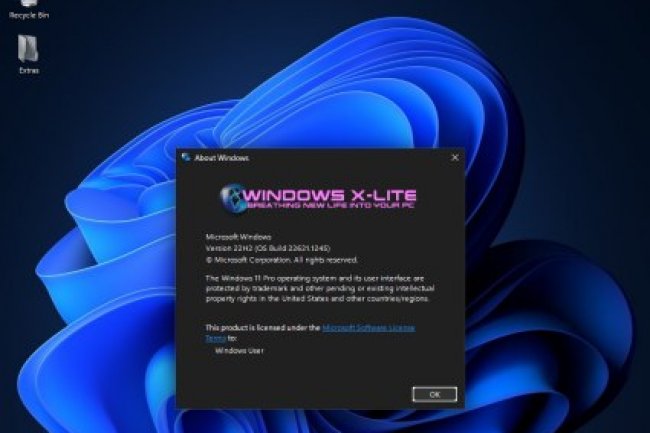 Windows 11 Ultralight (22621.1245) 'Divinity'