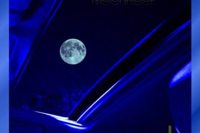 Decisive Koala - Moon Roof (2020)