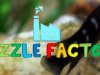 The Puzzle Factory