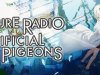 The Future Radio and the Artificial Pigeons