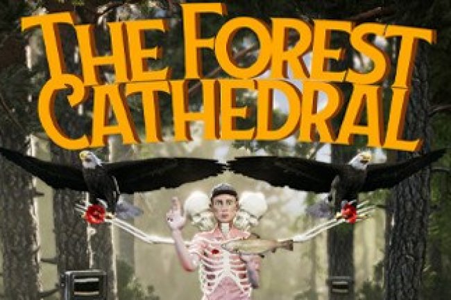 The Forest Cathedral