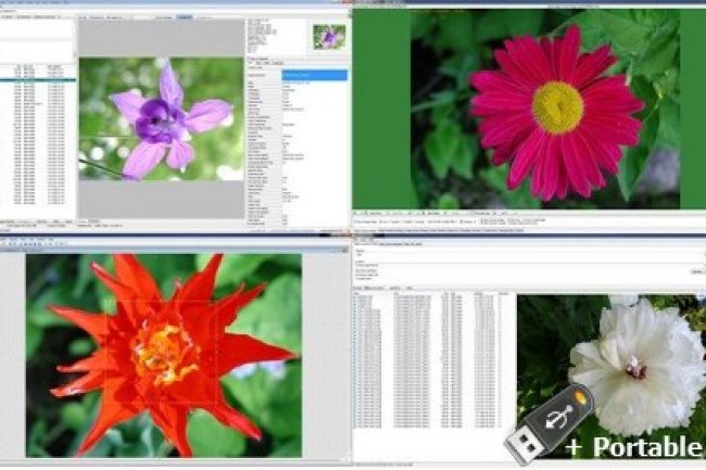 WildBit Viewer v6.11 + Portable