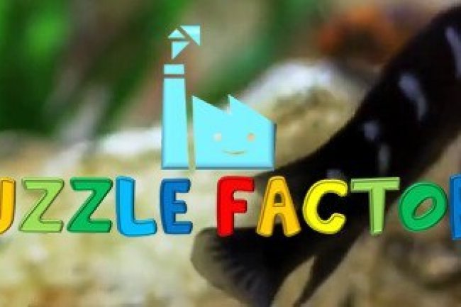 The Puzzle Factory