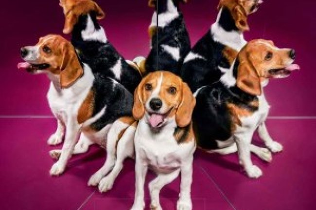 Superinteressante Ed 401 - Abril 2019