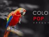 Color Pop Effects Photo Editor v5.1 MOD [Pro Unlocked]