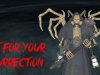 Fight For Your Resurrection