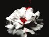 Crave 1 - Desejo - Tracy Wolff