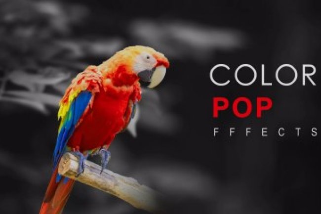 Color Pop Effects Photo Editor v5.1 MOD [Pro Unlocked]