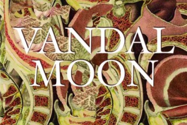 Vandal Moon - Dreamless (2013)