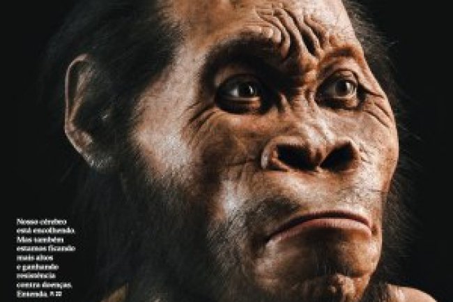 Superinteressante Ed 409 - Novembro 2019