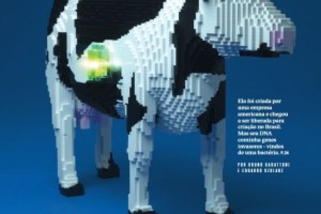 Superinteressante Ed 411 - Janeiro 2020