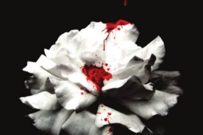 Crave 1 - Desejo - Tracy Wolff