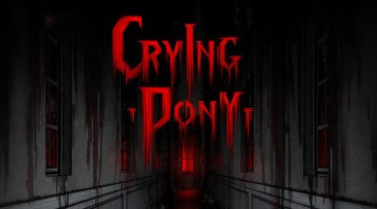 Crying Pony
