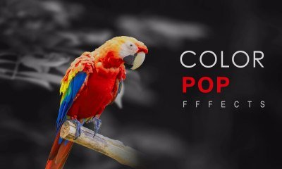 Color Pop Effects Photo Editor v5.1 MOD [Pro Unlocked]