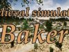 Medieval simulators: Baker