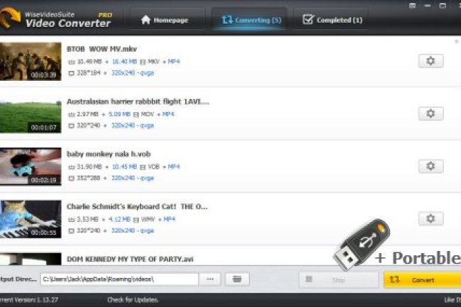 Wise Video Converter v2.3.1.66 + Portable