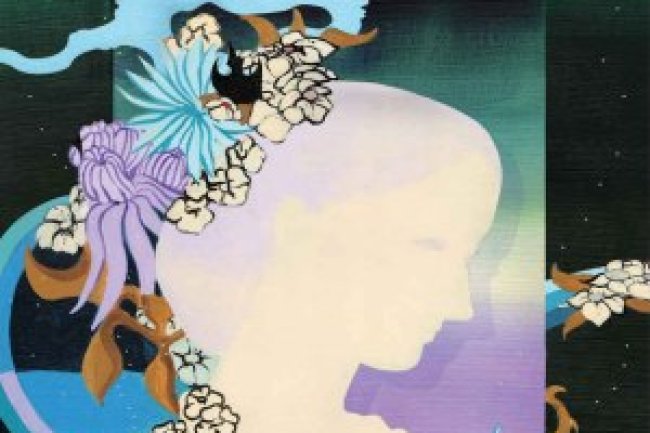 Box Vozes de Virginia Woolf: Romances - Vol. 1 - Virginia Woolf