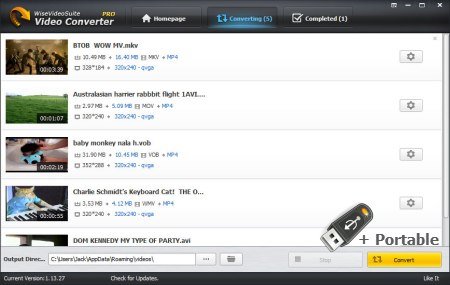Wise Video Converter v2.3.1.66 + Portable