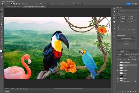 Adobe Photoshop 2024 v25.5.0.375