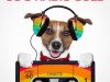 80's Radio Gold (2014)