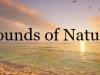 Sounds of Nature