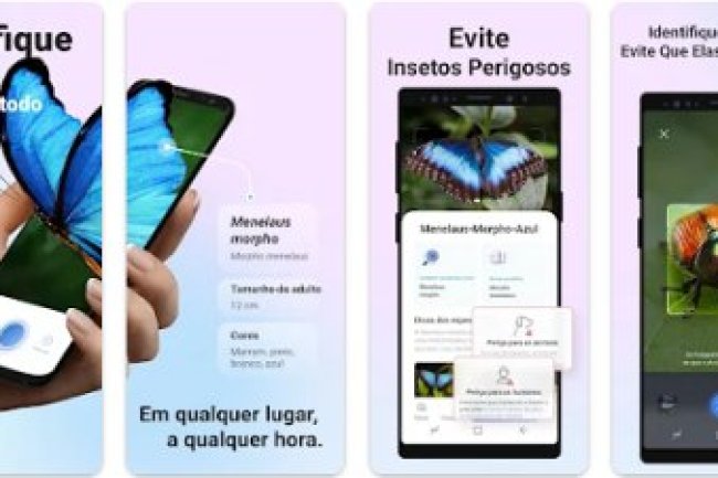 Picture Insect & Spider ID v2.8.16 MOD [Premium Unlocked]