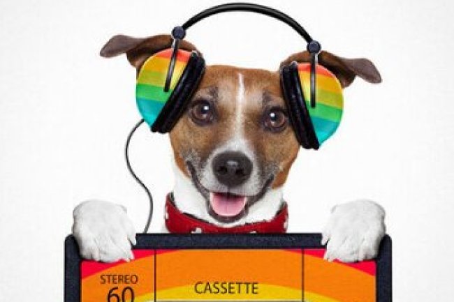 80's Radio Gold (2014)