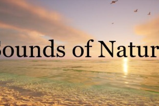 Sounds of Nature