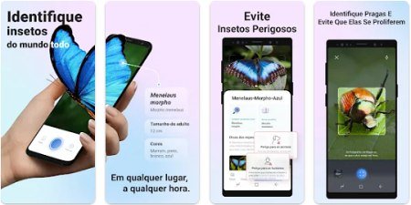 Picture Insect & Spider ID v2.8.16 MOD [Premium Unlocked]