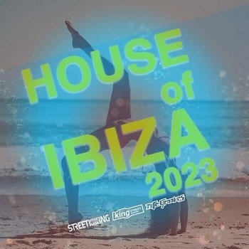 House Of Ibiza 2023 (2023)