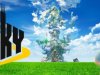 To The Sky