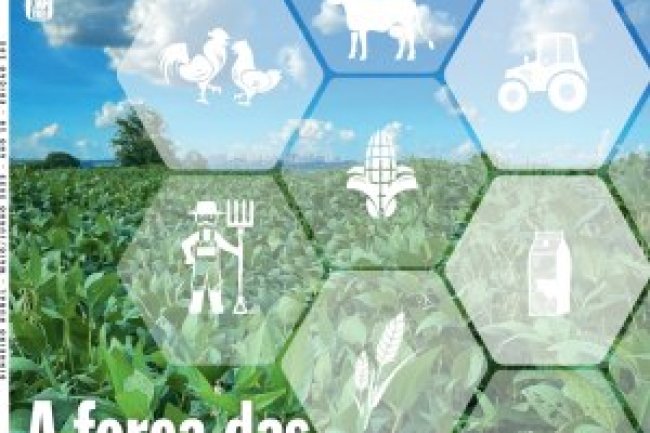 Dinheiro Rural Ed 192 - Maio / Junho 2023