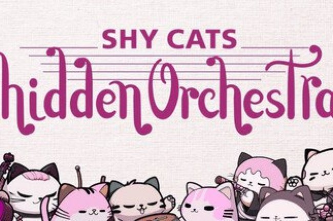 Shy Cats Hidden Orchestra