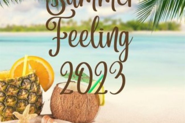 Summer Feeling 2023 Hits (2023)