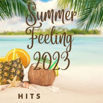Summer Feeling 2023 Hits (2023)