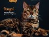 Pulo do Gato - Mai/Jun 2023