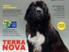 Cães & Cia - Jan/Fev 2023