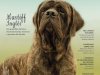 Cães & Cia - Mai/Jun 2023