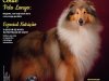Cães & Cia - Jul/Ago 2023