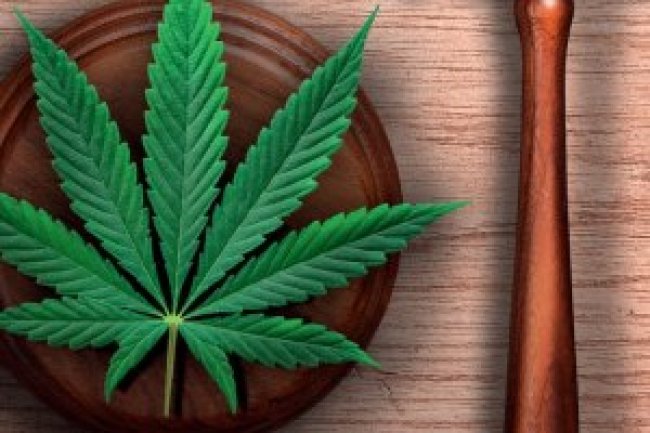 Veja Ed 2853 - Agosto 2023