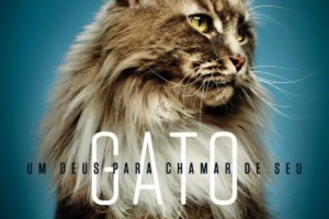 Superinteressante Ed 369 - Dezembro 2016