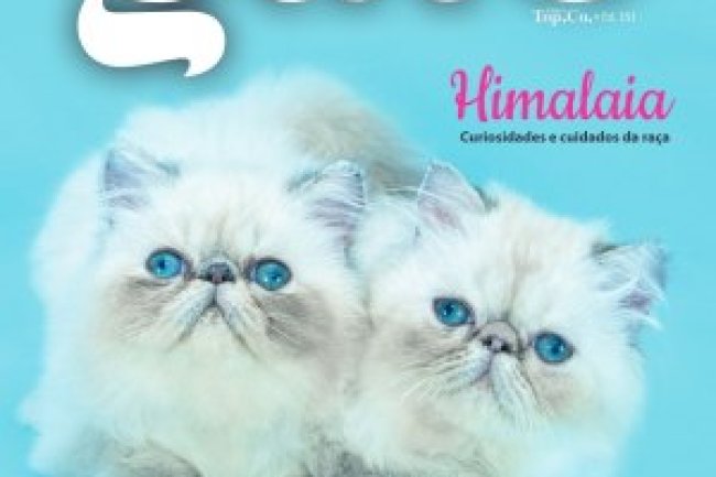 Pulo do Gato - Jan/Fev 2023